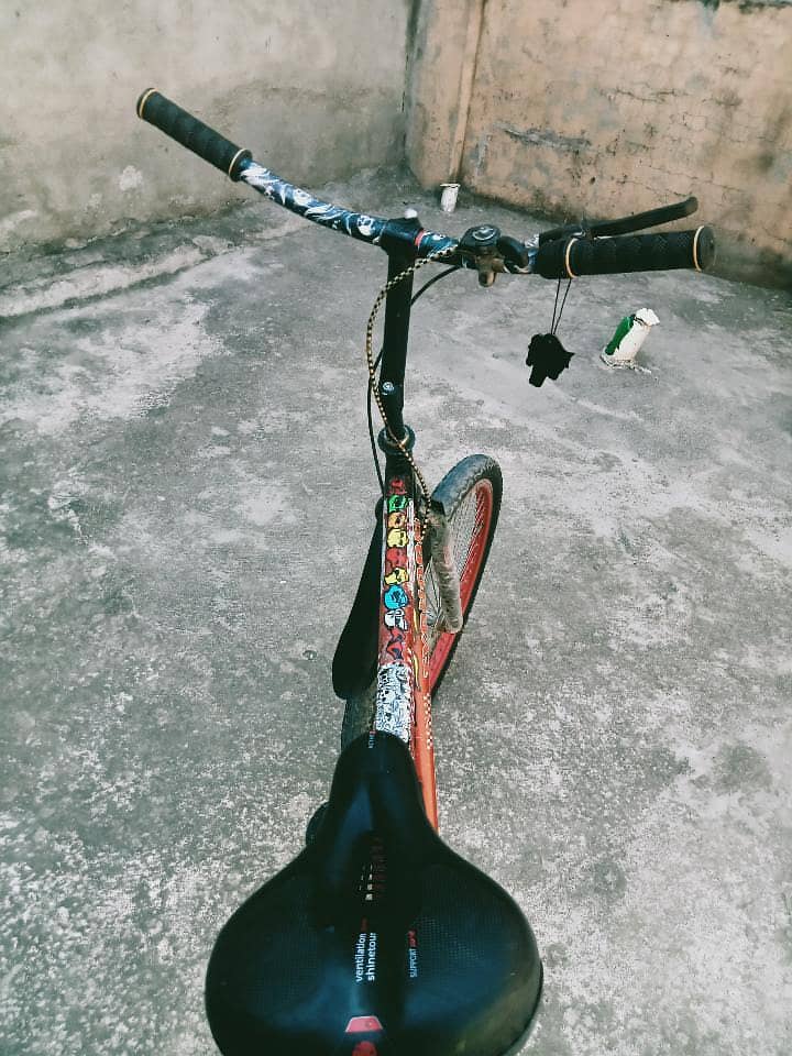 phoenix cycle 8