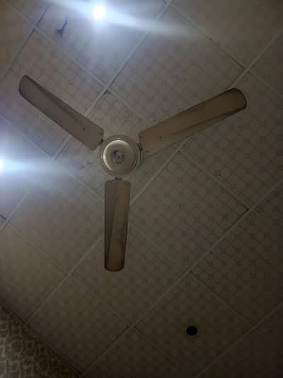 Ceiling fan