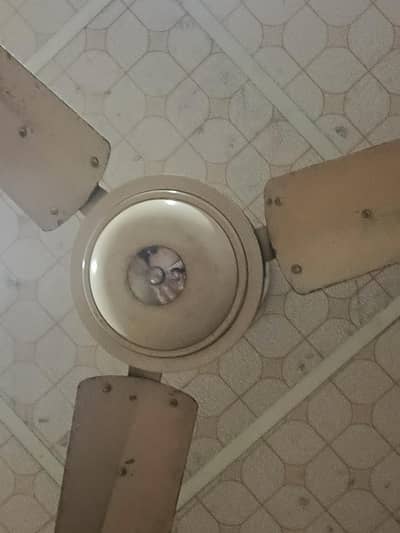 Ceiling fan