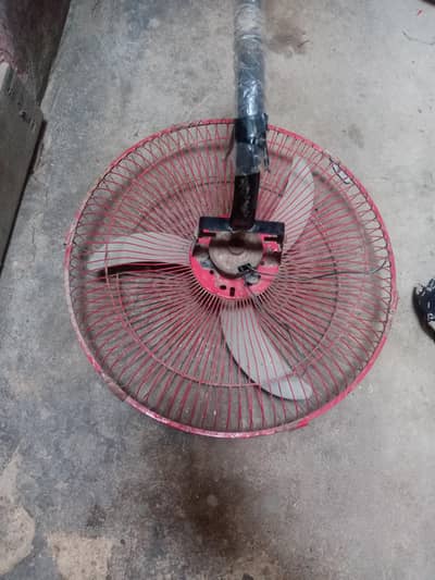 fan for sell