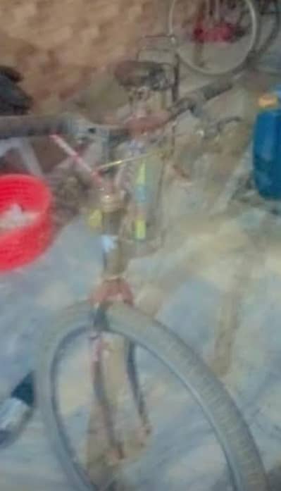 cycle