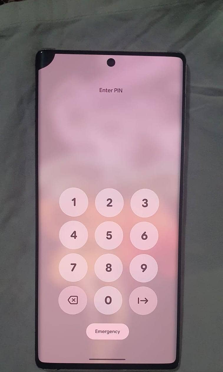 Google Pixel 6 Pro 1