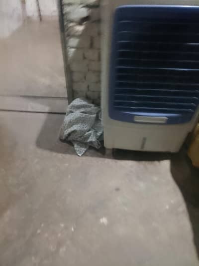 solar cooler 12 wat