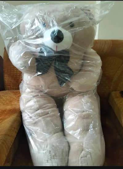 teddy bear