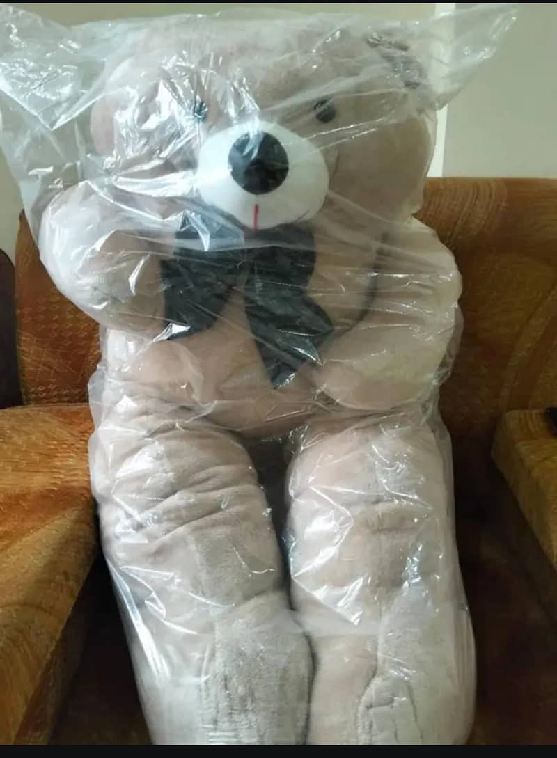 teddy bear 0