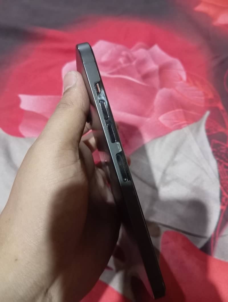 iphone 13 pro max 2