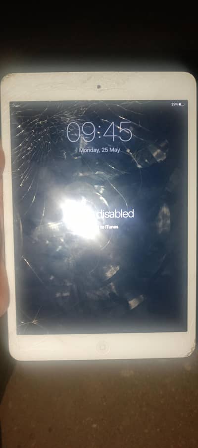 iped mini2 32gp