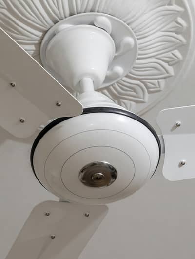 Second Hand Celling fan