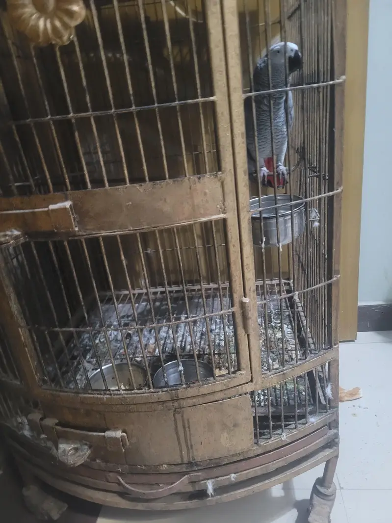 heavy cage for sale — photo 2