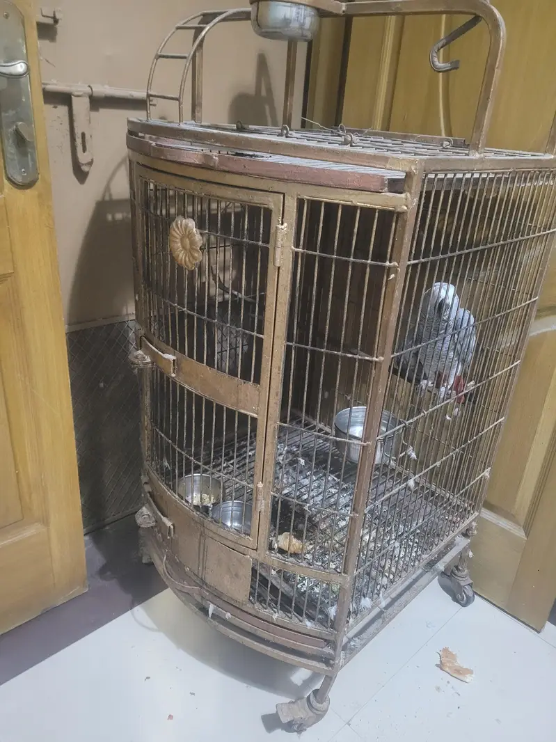 heavy cage for sale — photo 3