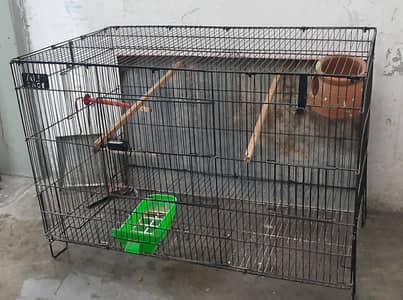 cage for birds