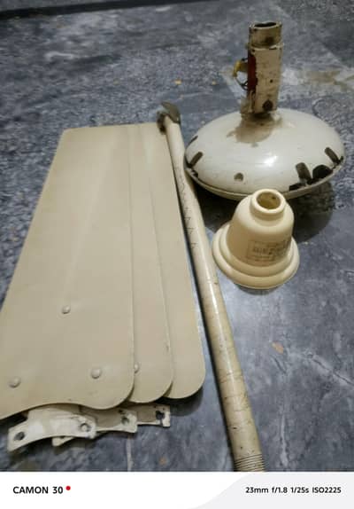 Zam Zam CeilingFan