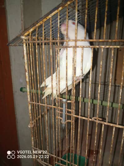 for selling