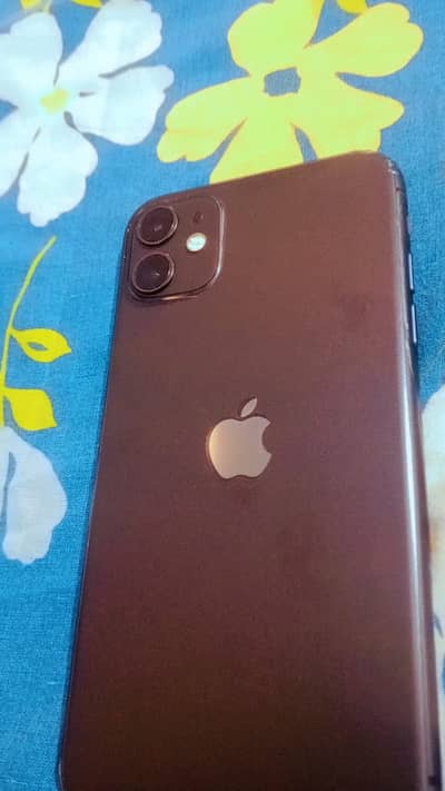 Apple iPhone 11