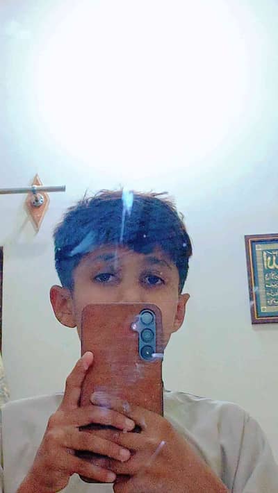 Mir Arslan
