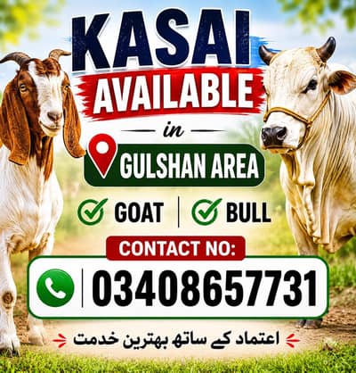 contact 03408657731