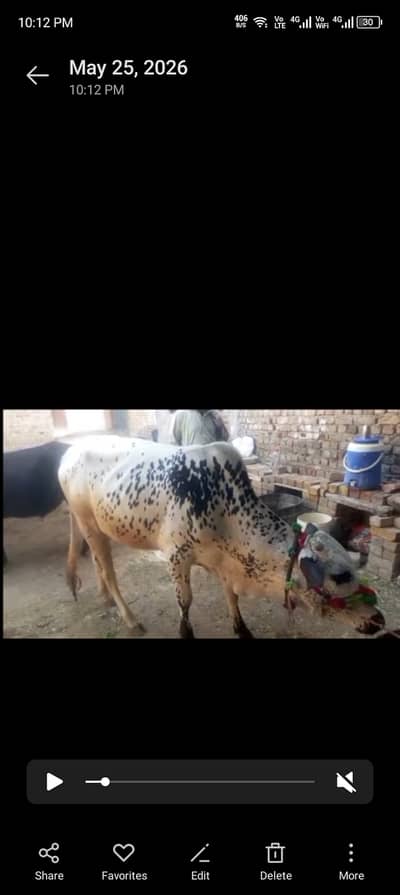 For Eid