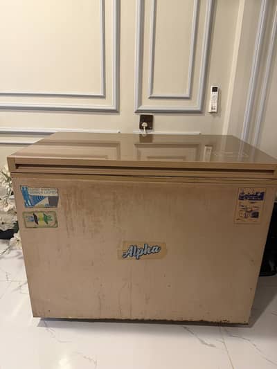WAVES DEEP FREEZER 13 cubic feet NO FROST
