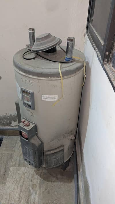 geyser for sale