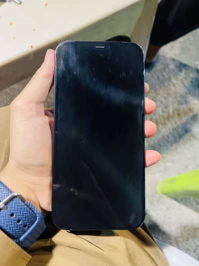 Apple iPhone 12 Pro Max