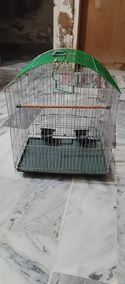 Birds cage