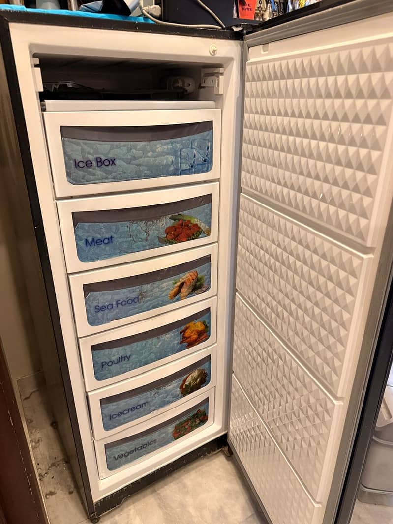 vertical freezer 1
