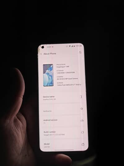 one plus 9 pro 12/256 03290396209 wtsa number