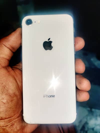 10/10 ha WhatsApp number (03107181451)