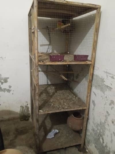 Bird house pinjara