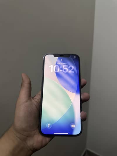 Apple iPhone 12 Pro Max