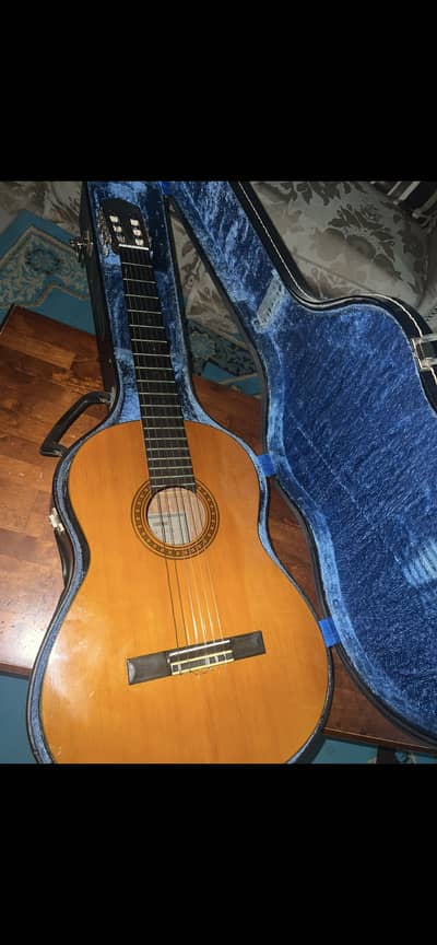 Beginner friendly Guitar available