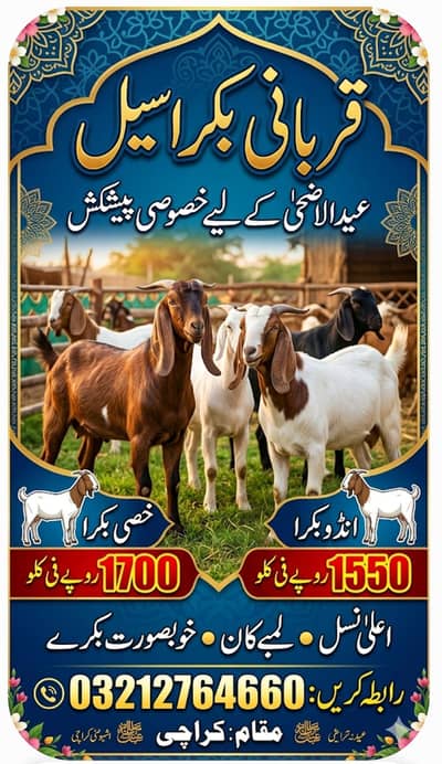 Qurbani Bakra Aalla Nasal  1550 per KG
