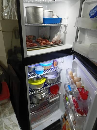 pel fridge