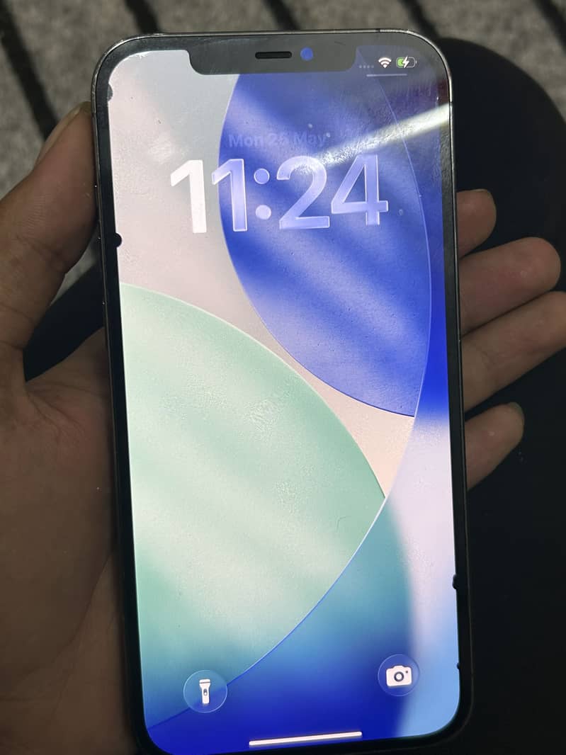 12 Pro max 3