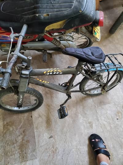 By cycle