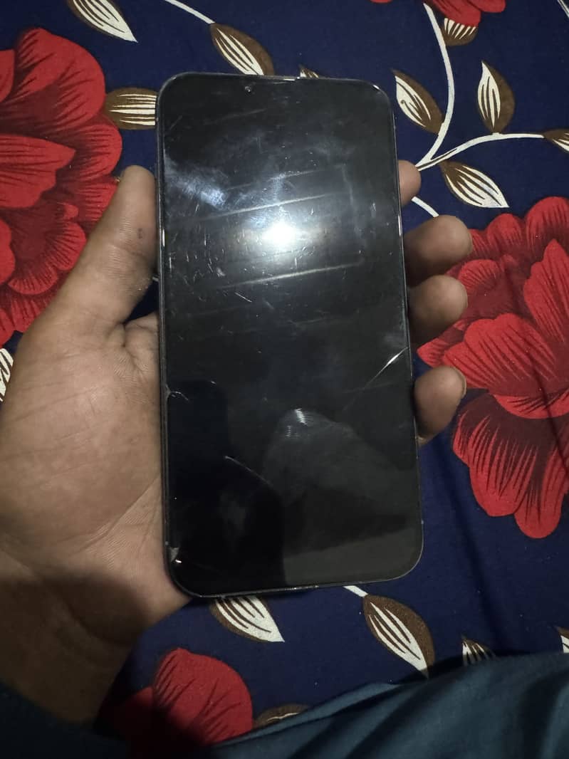 iphone 13pro max 1