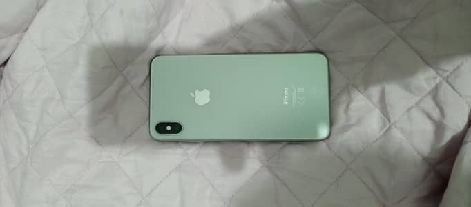 XS Max 256 GB