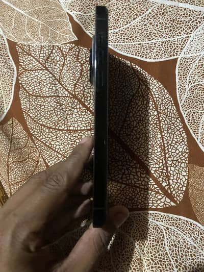 I phone 14promax