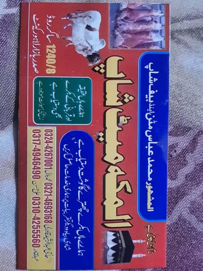 Qurbani, Qasai, Butcher, Zibah krayi  #2026