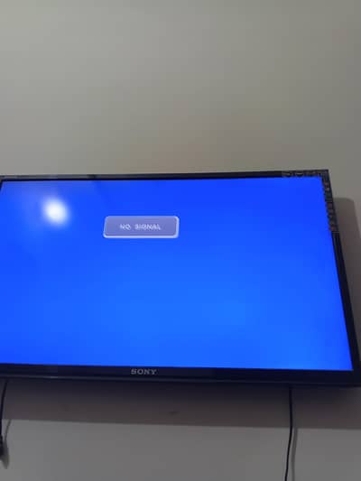 Sony Bravia