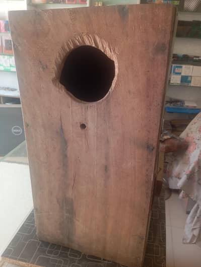 raw parrot box