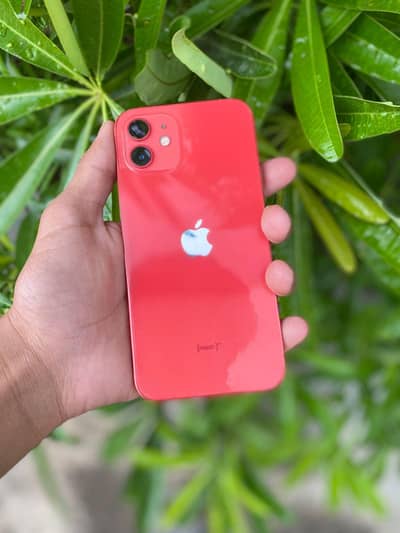 i phone 12