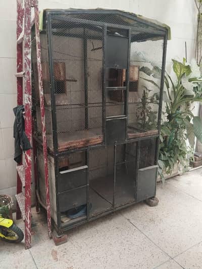 big size  metal dog parrot cage
