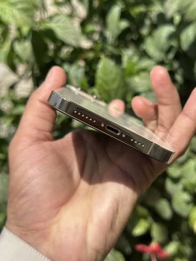 iPhone 12 Pro Max 256 GB | FU | Physical + eSIM | Back Crack