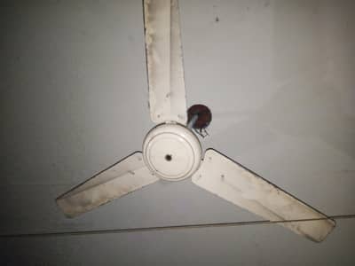 kopar Mein wind hai