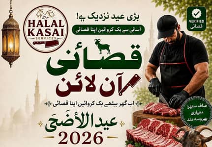 whatsap number 03405339356