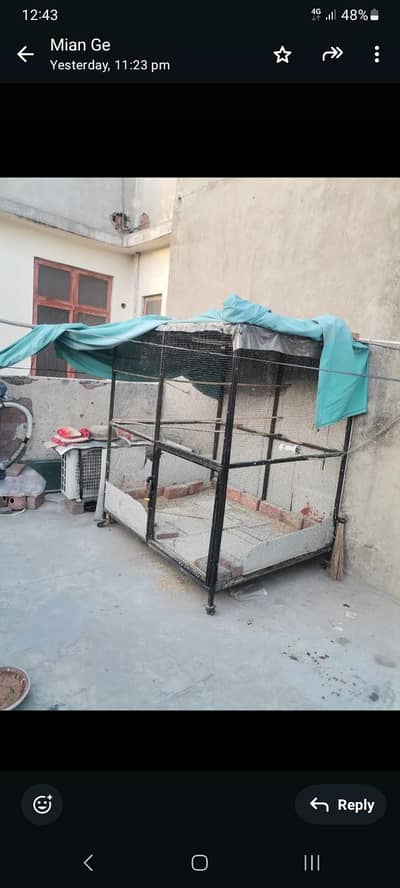 Iron birds cage
