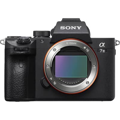 sony a7iii body