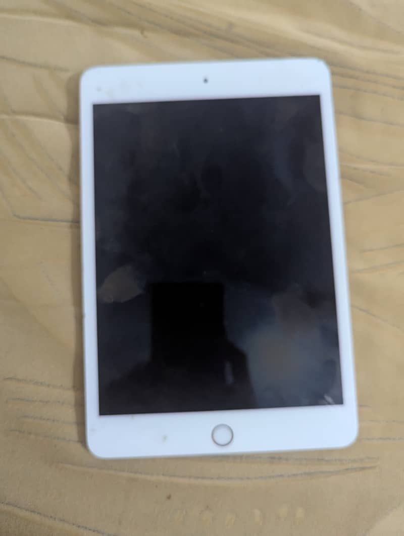 Ipad mini 5 0
