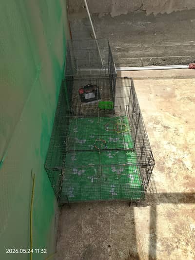 both cage for sale 6 months used
